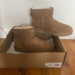Brand new Uggs classic mini II size 8